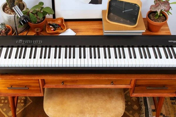 fp 30x egitana musical