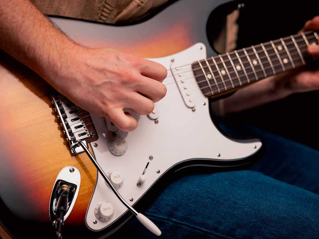 Stratocaster Standar2