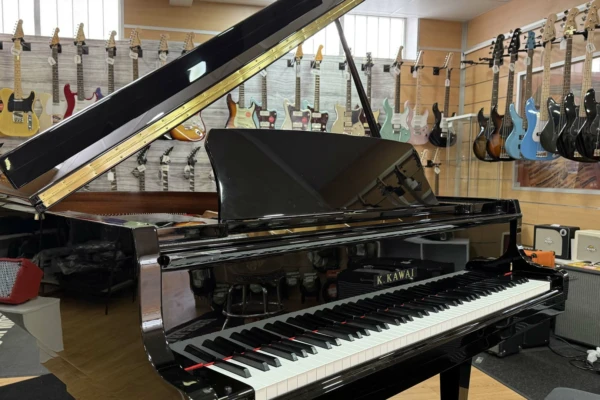 Qual-a-Melhor-Loja-de-Instrumentos-Musicais-na-Peninsula-Iberica